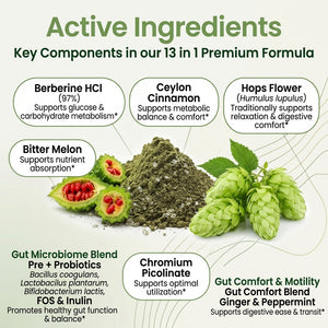 Metabolism & Energy Support Herbal Supplement
